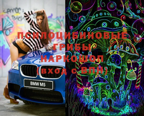 стафф Абинск