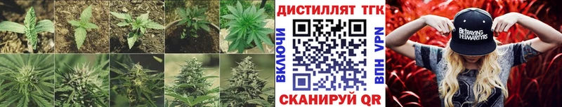 цены наркотик  Дивногорск  Дистиллят ТГК THC oil 