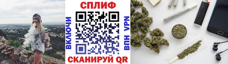 Шишки марихуана марихуана  Дивногорск 